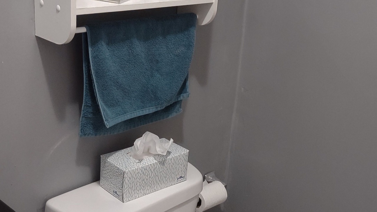 Photo of Bathroom in Rogers Park