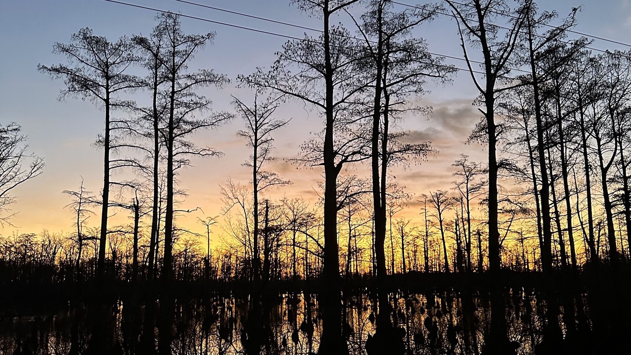 Photo of Outdoor in Alexander