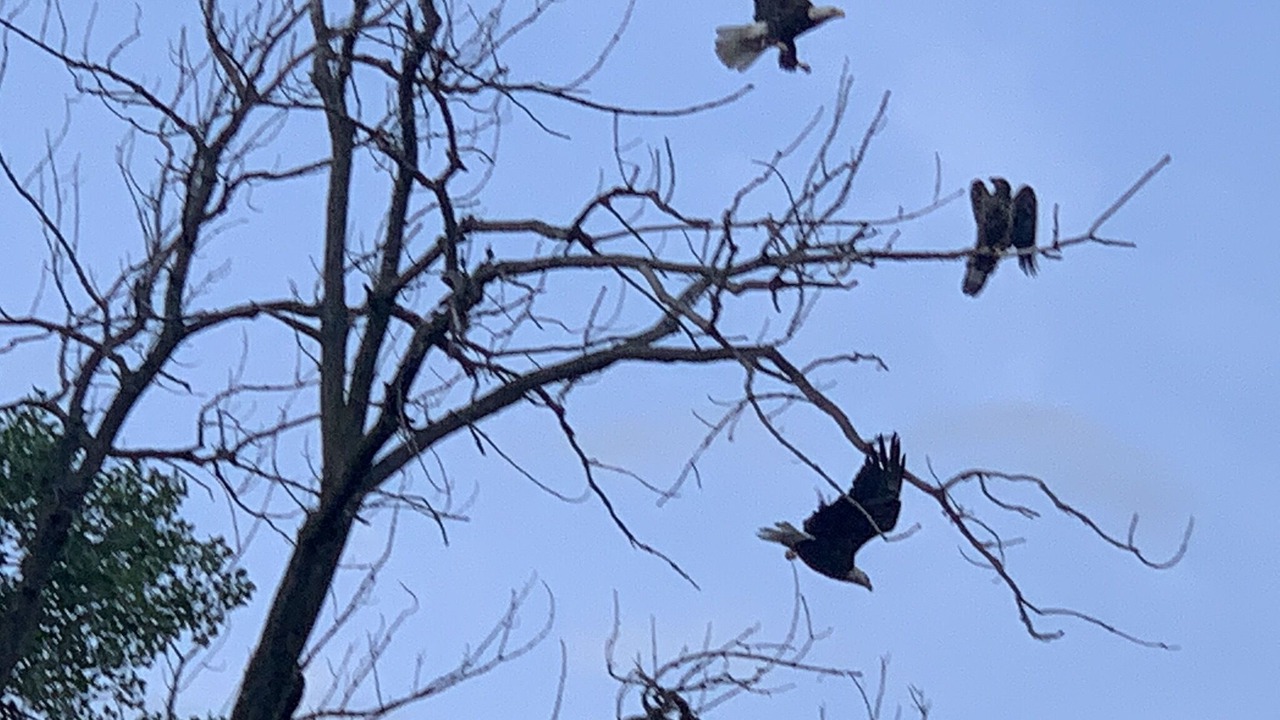 Photo of Others in Lynn Center