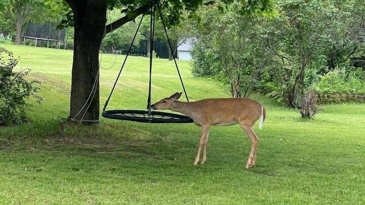 Photo of Outdoor in Holcomb