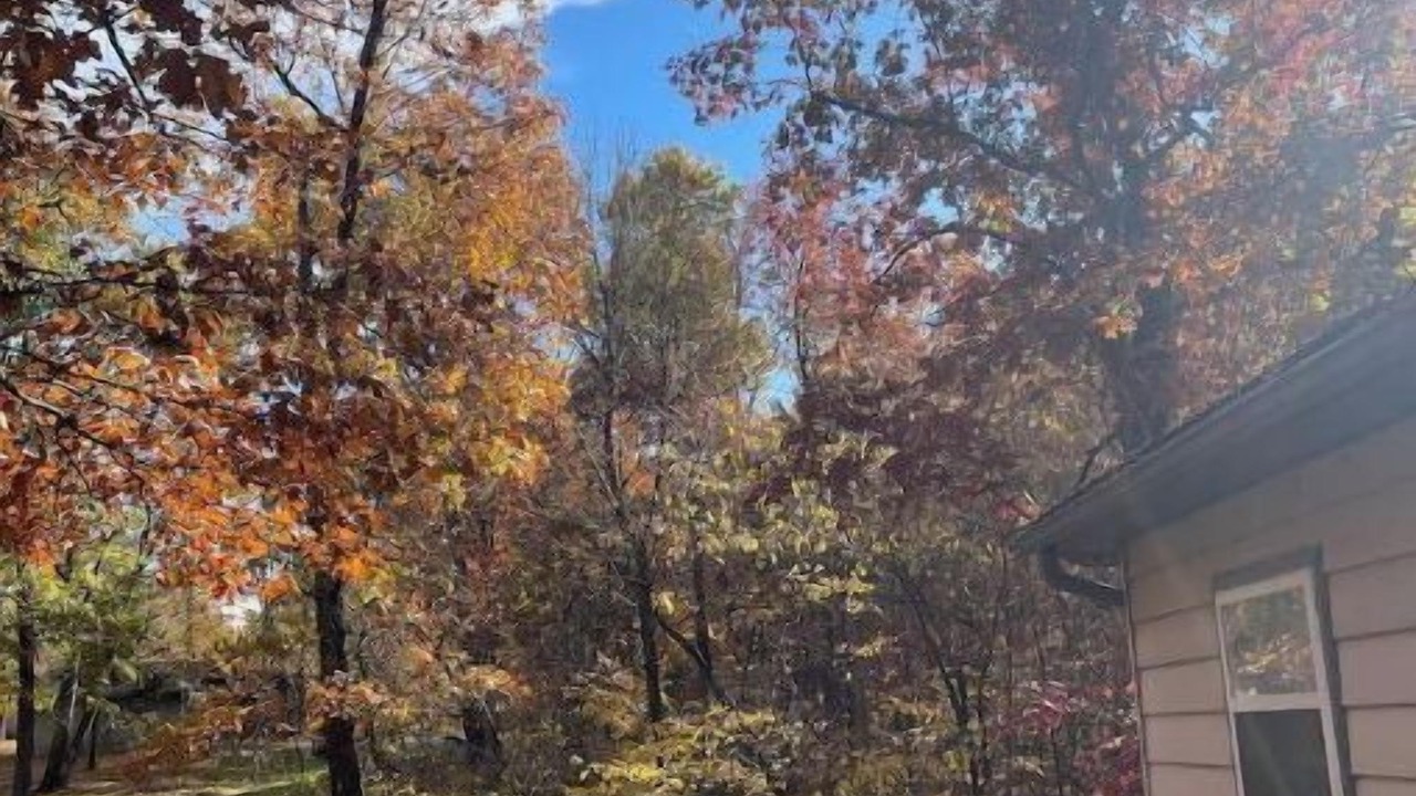 Photo of Outdoor in Carbondale