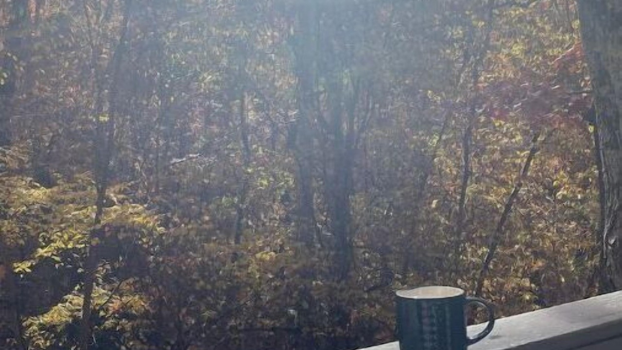 Photo of Outdoor in Carbondale