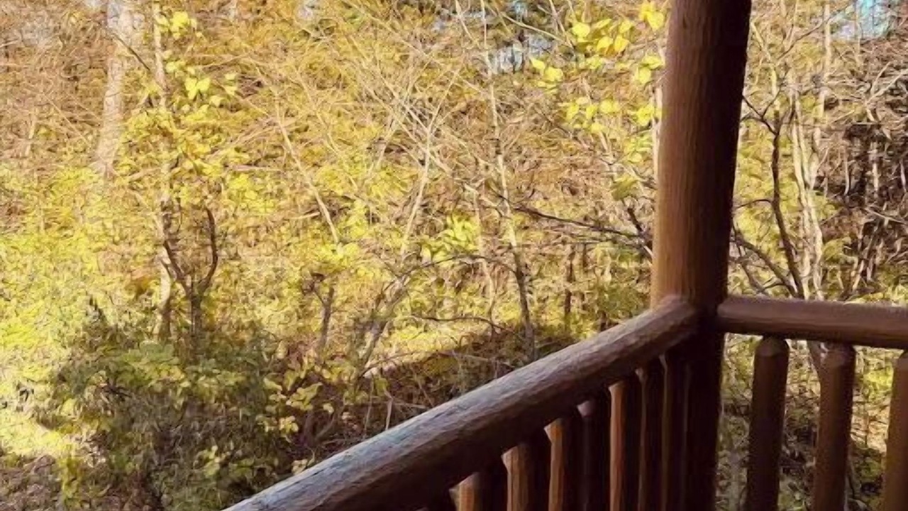 Photo of Outdoor in Utica