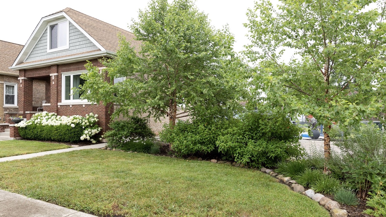 Photo of Outdoor in Berwyn