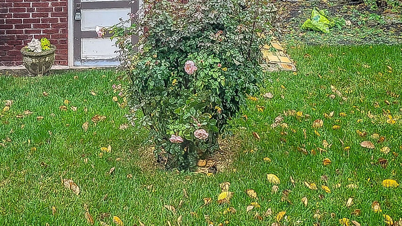 Photo of Outdoor in Oak Park