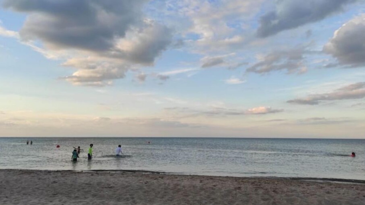 Photo of Others in South Evanston