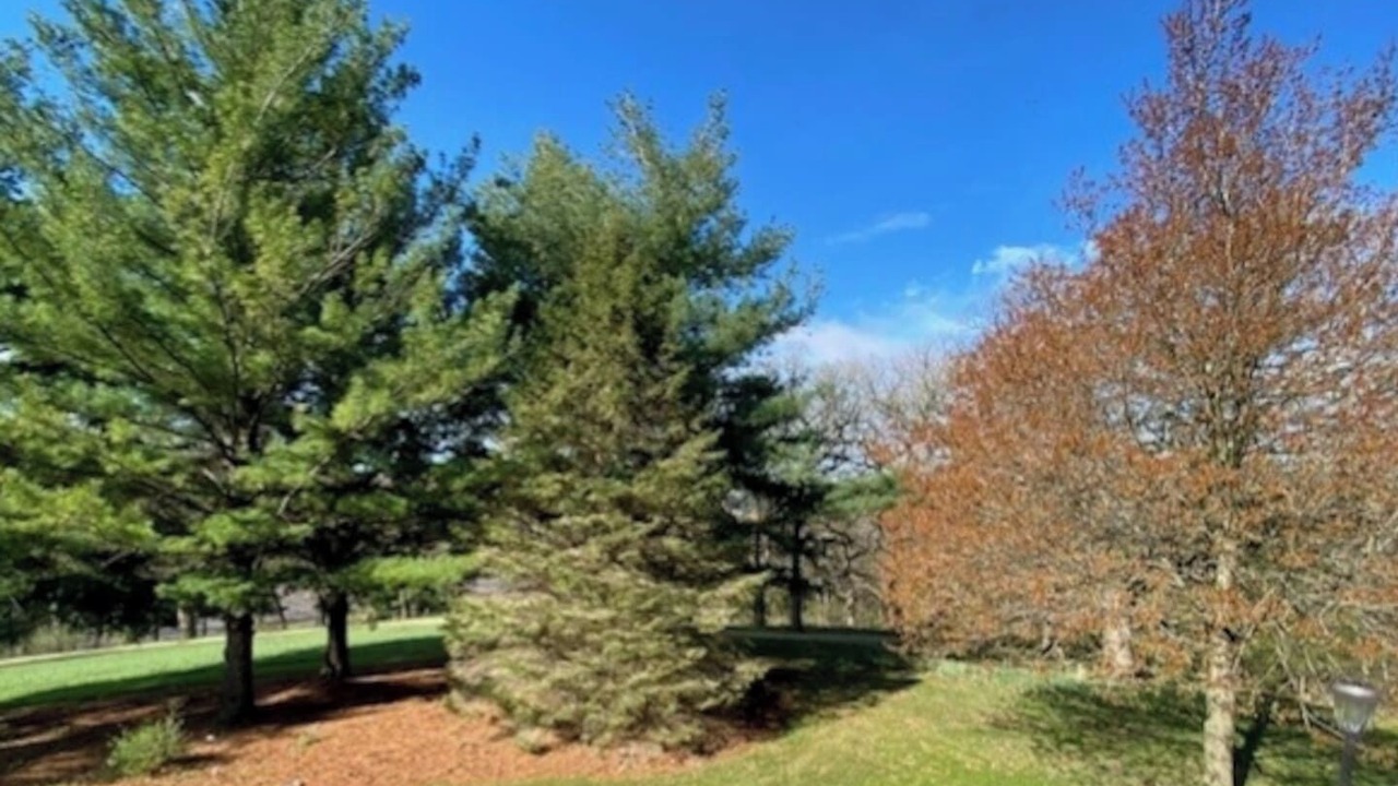 Photo of Others in Apple River