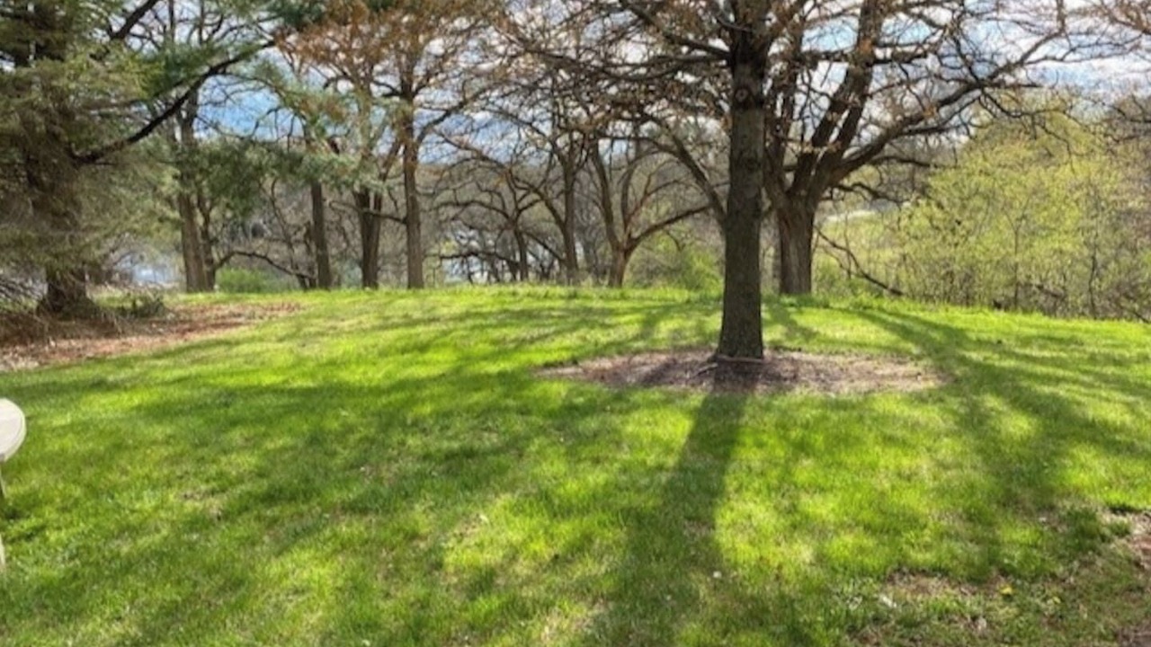 Photo of Outdoor in Apple River