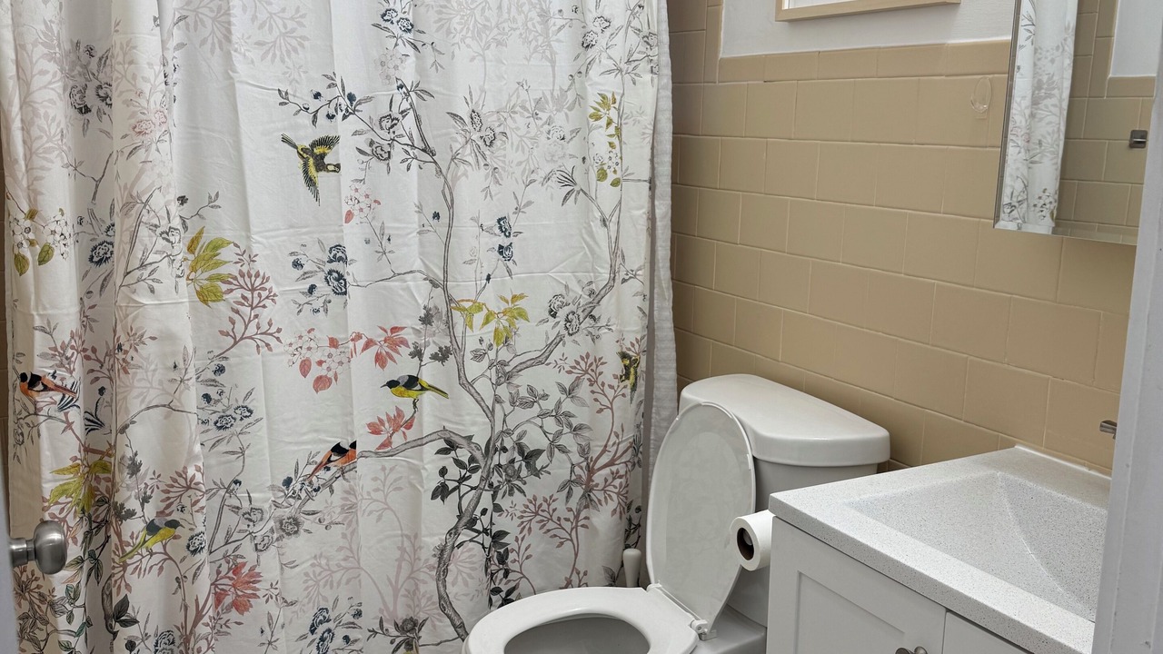 Photo of Bathroom in Bronzeville