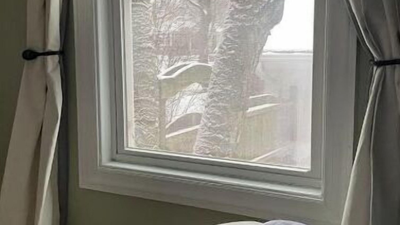 Photo of Bedroom in Evanston