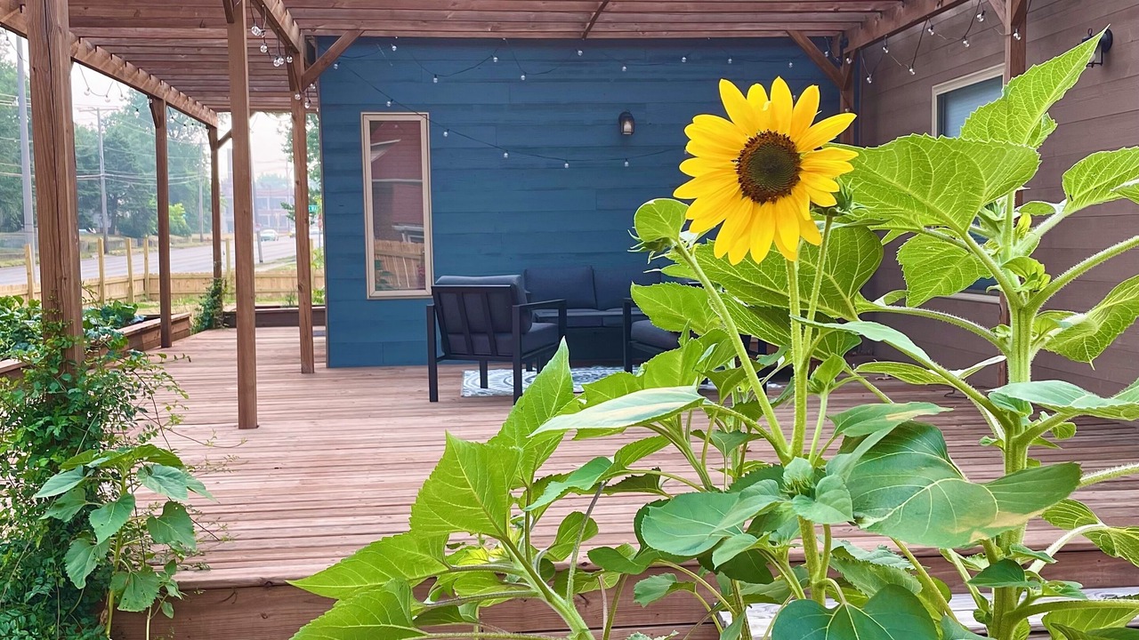 Photo of Patio Balcony in Champaign