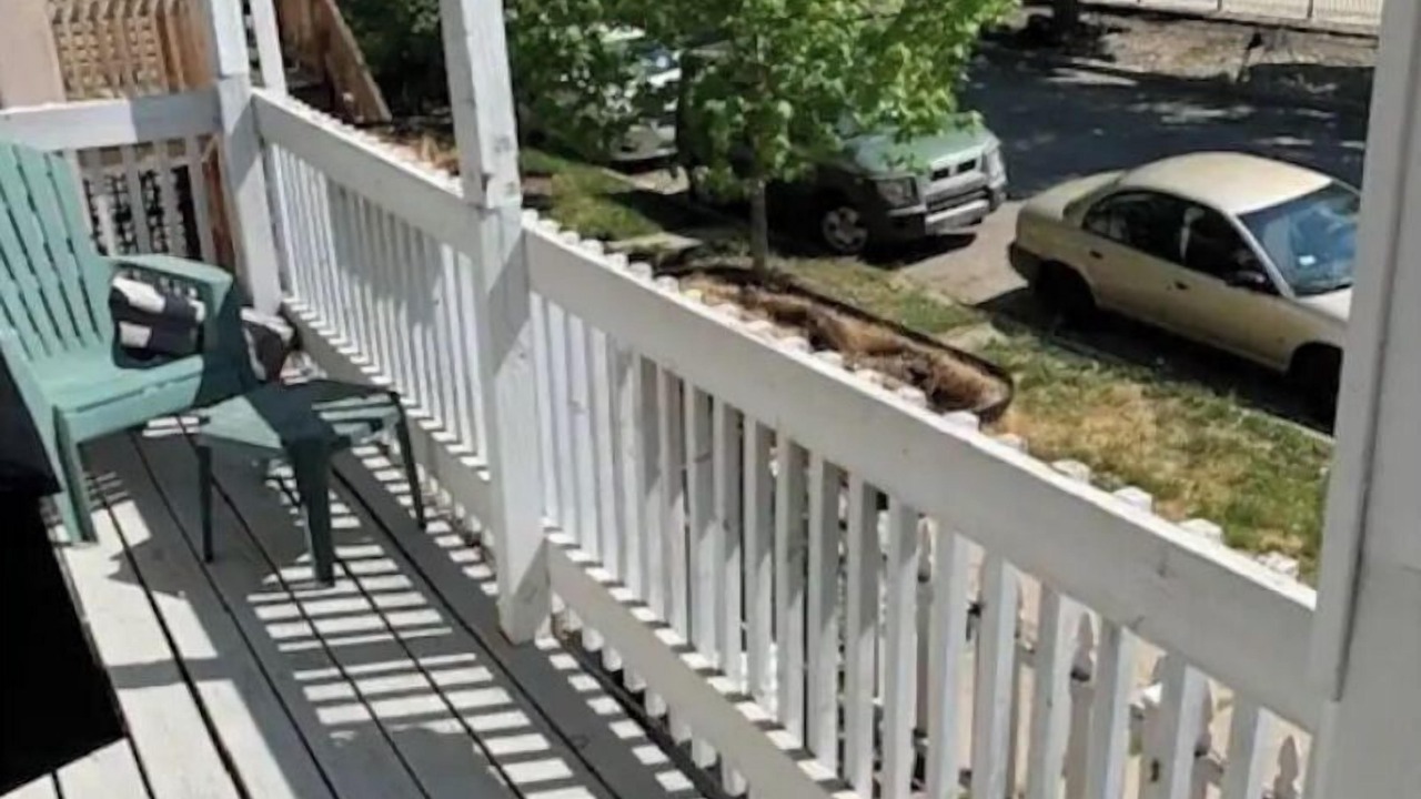 Photo of Outdoor in West Lakeview