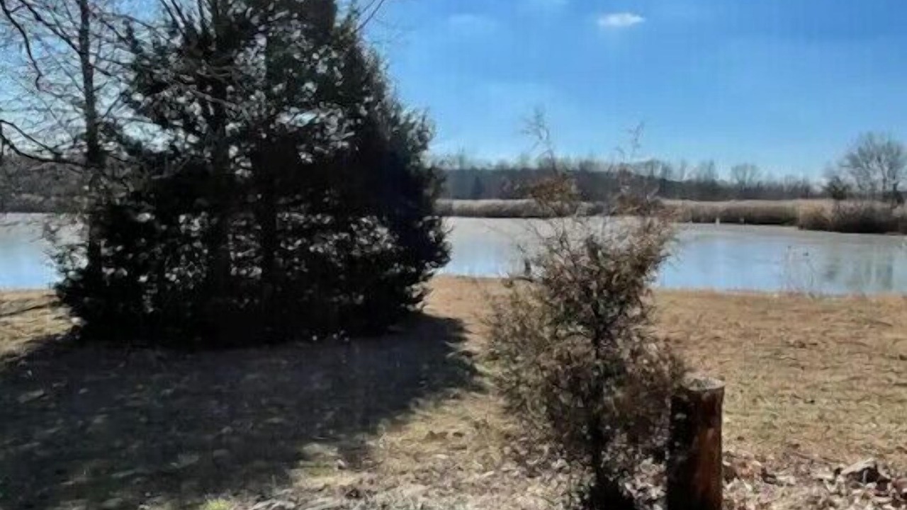 Photo of Outdoor in Scheller