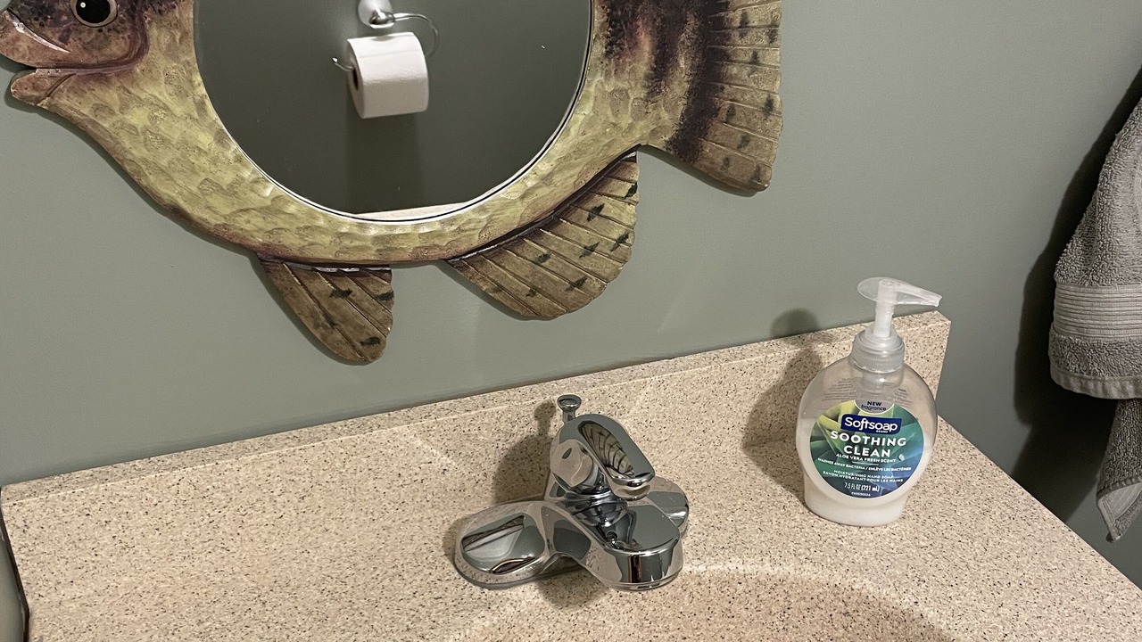 Photo of Bathroom in Scheller