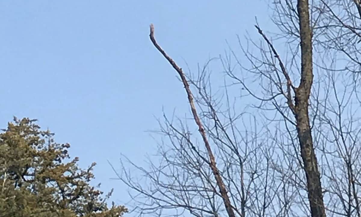 Photo of Others in Elizabeth