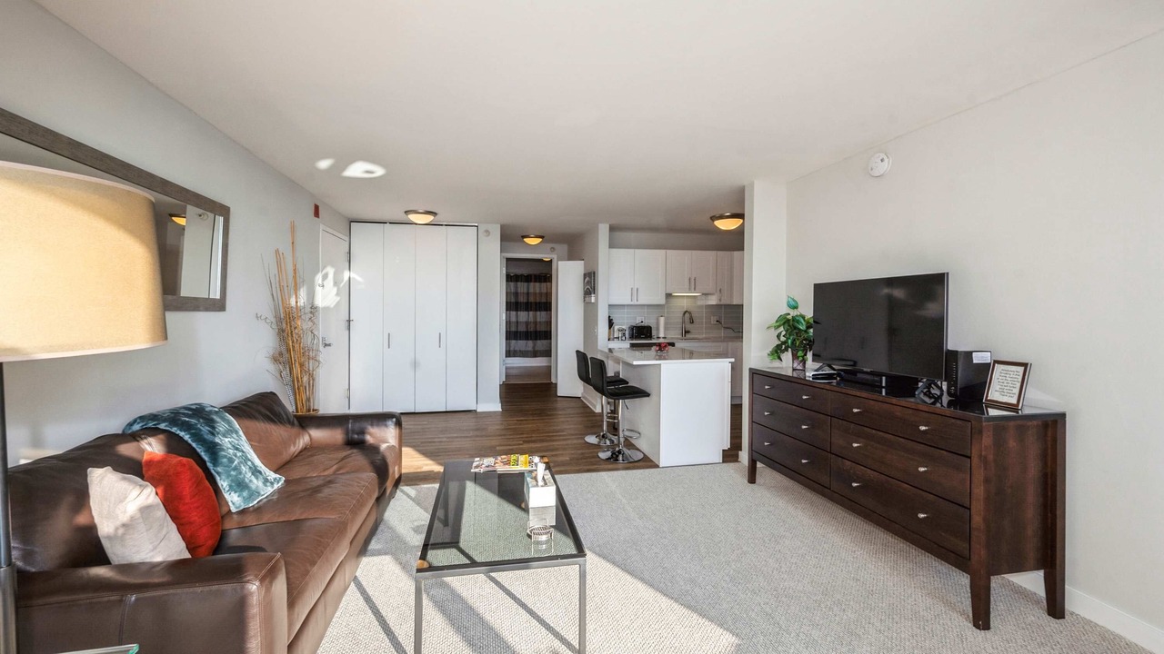 Photo of Livingroom in Downtown Chicago