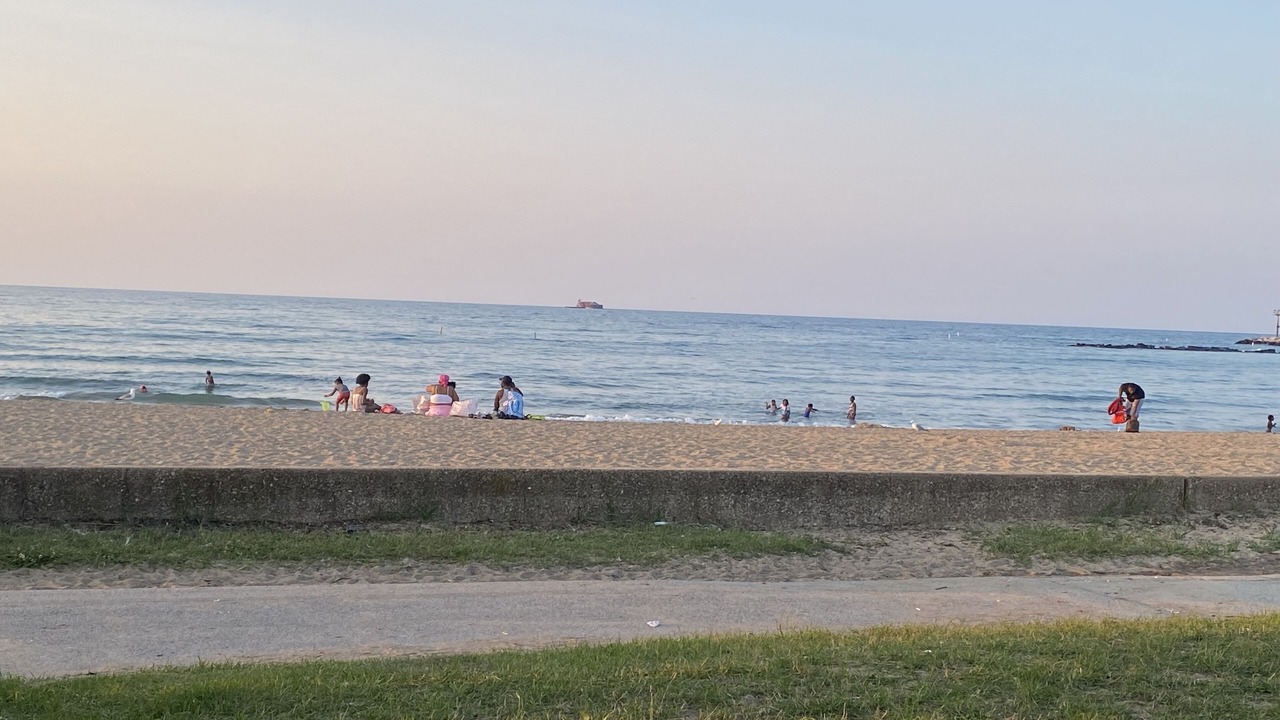 Photo of Others in Jackson Park Highlands