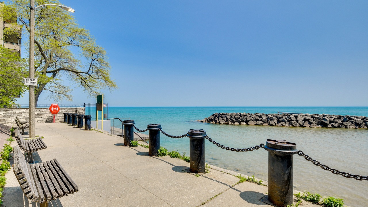 Photo of Others in Rogers Park