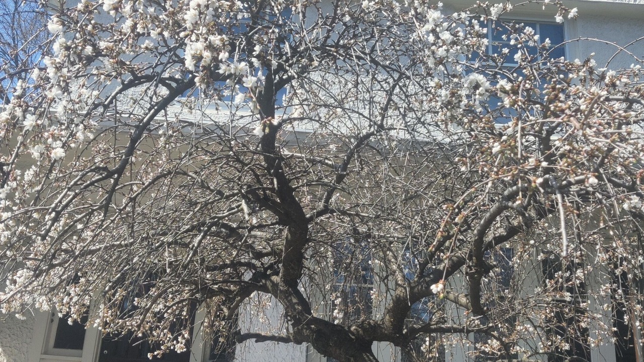 Photo of Outdoor in Oak Park