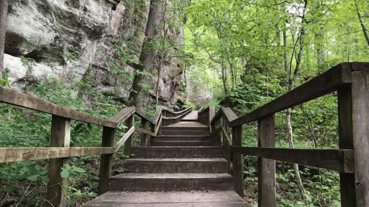 Photo of Outdoor in Carbondale