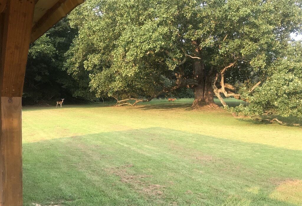 Photo of Outdoor in Marion