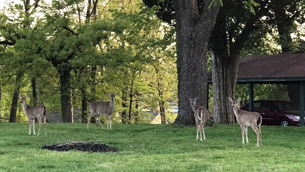 Photo of Others in Wolf Creek