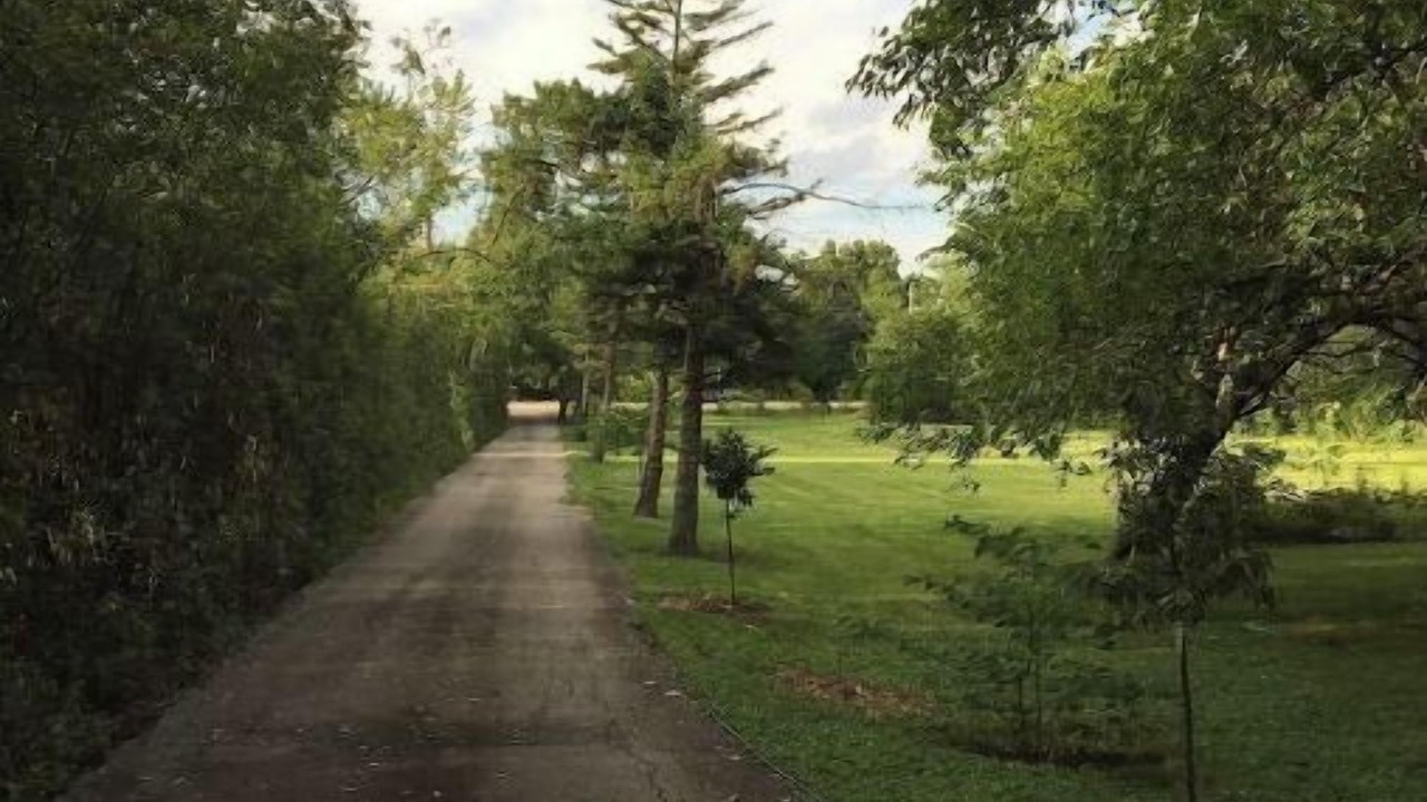Photo of Outdoor in West Chicago