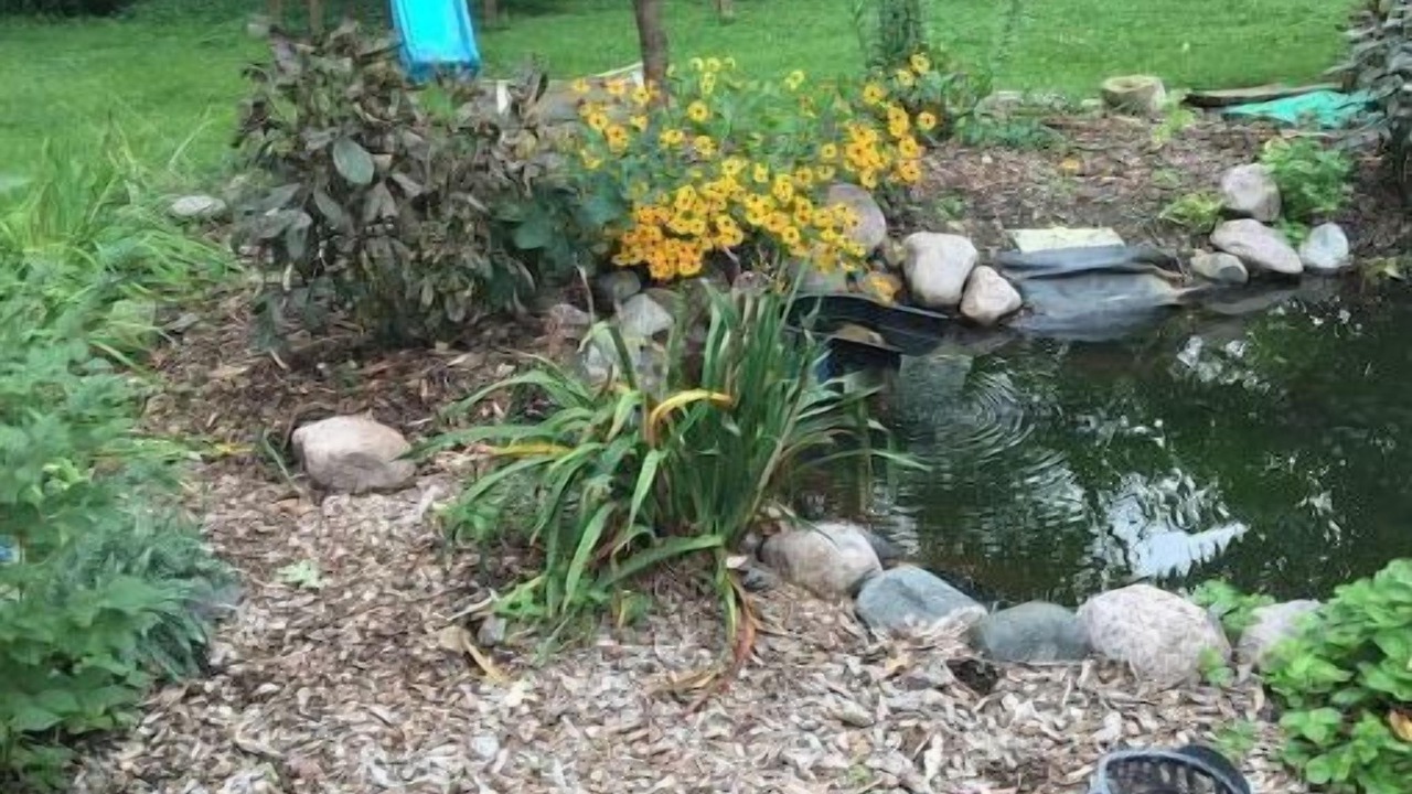 Photo of Outdoor in West Chicago