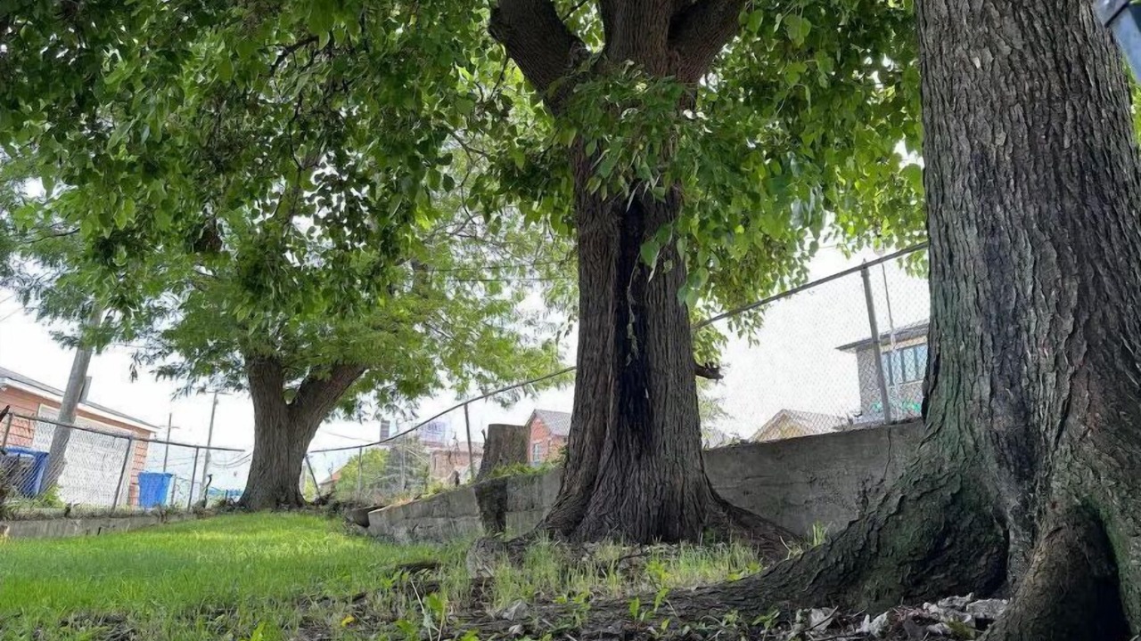 Photo of Outdoor in Bridgeport