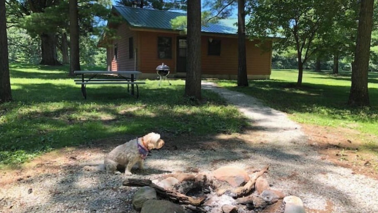 Photo of Outdoor in Triumph