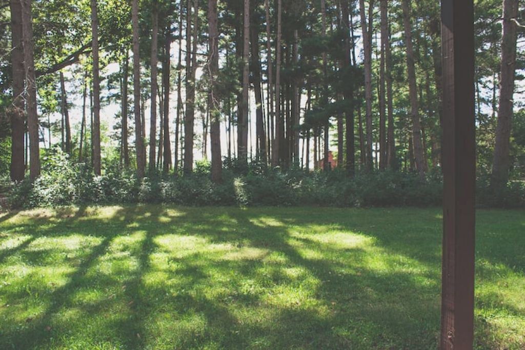 Photo of Outdoor in Triumph