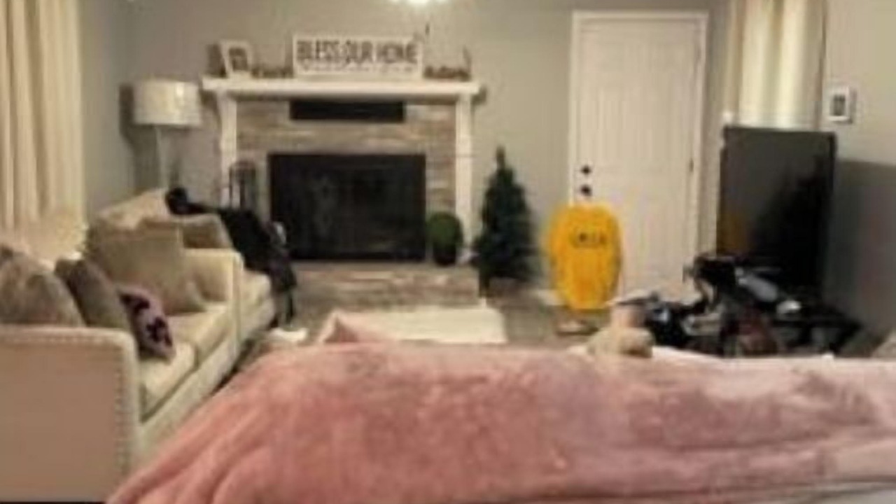 Photo of Livingroom in Belleville