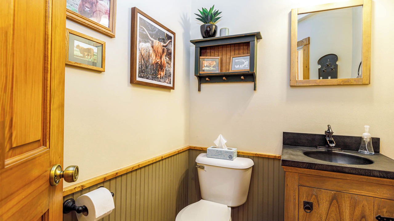 Photo of Bathroom in The Galena Territory