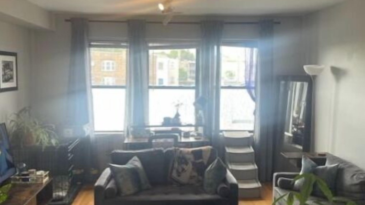Photo of Livingroom in East Albany Park
