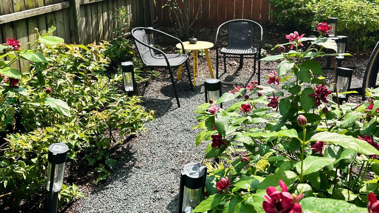 Photo of Outdoor in Evanston