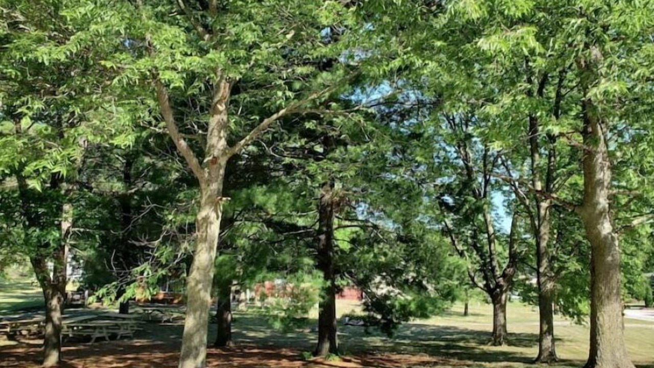 Photo of Outdoor in New Boston