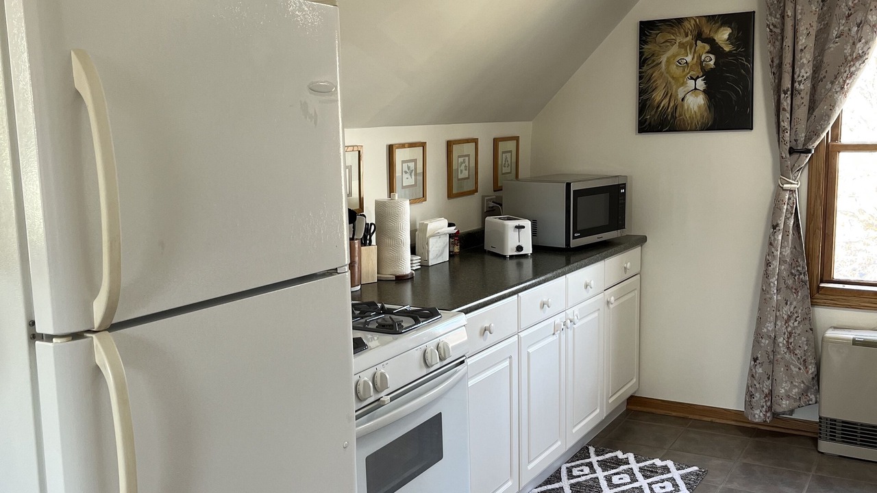 Photo of Kitchen in Plato Center