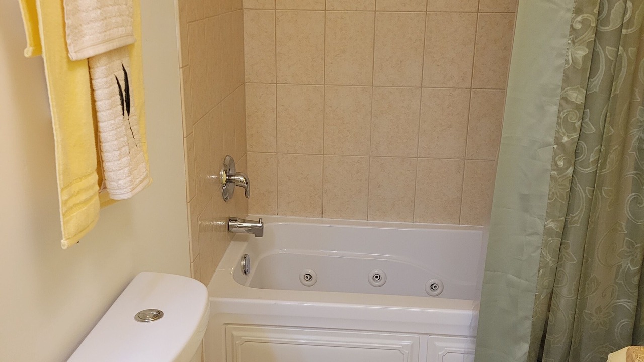 Photo of Bathroom in Bronzeville