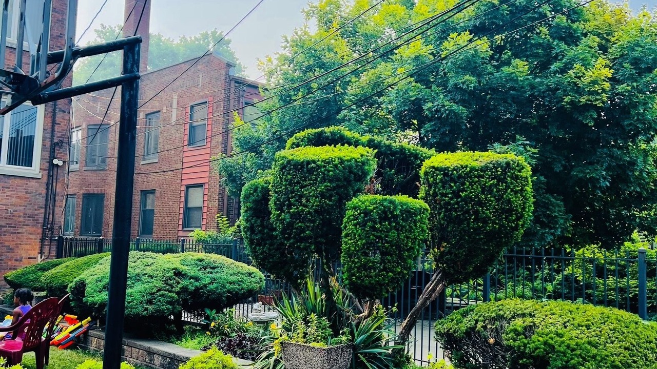Photo of Outdoor in South Shore