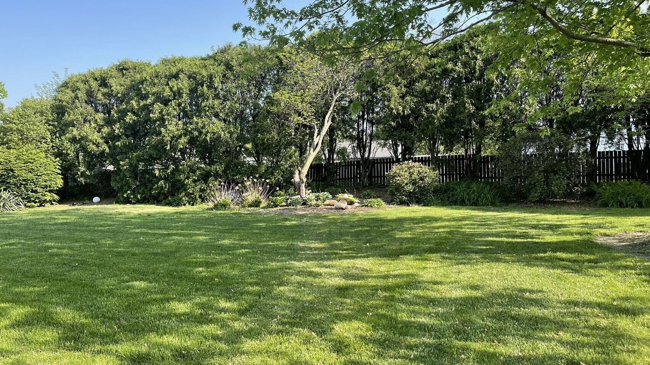 Photo of Outdoor in Champaign