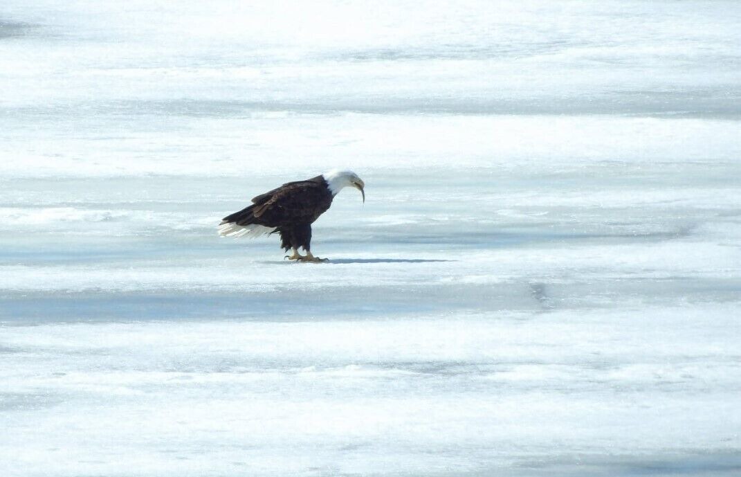 Photo of Others in New Boston