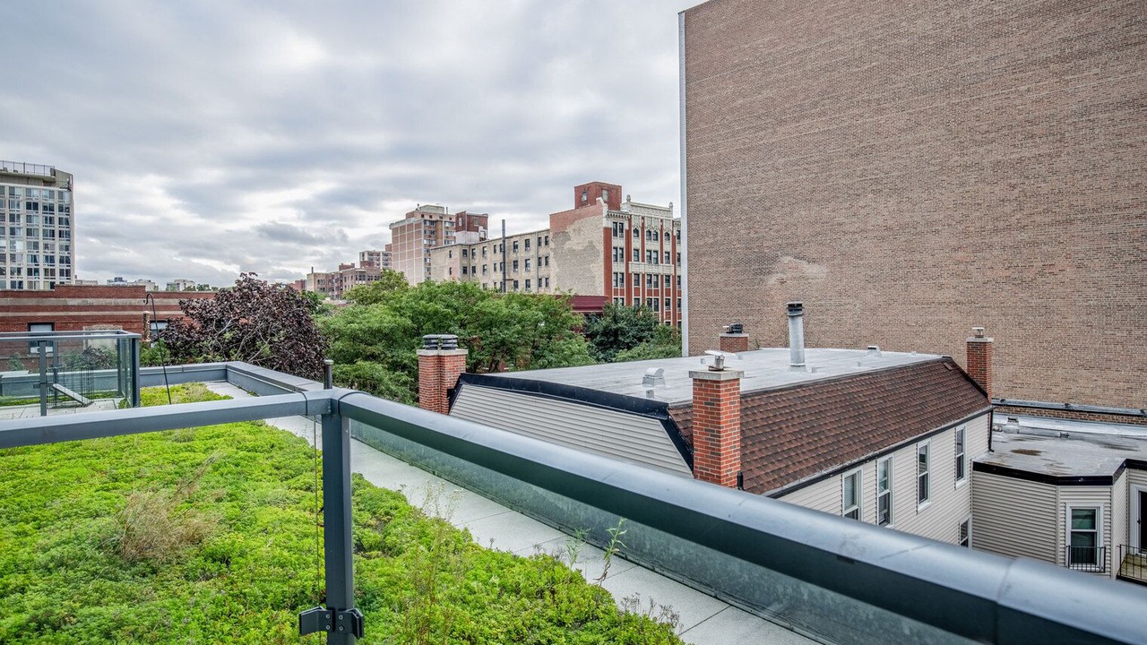 Photo of Outdoor in Lake View East