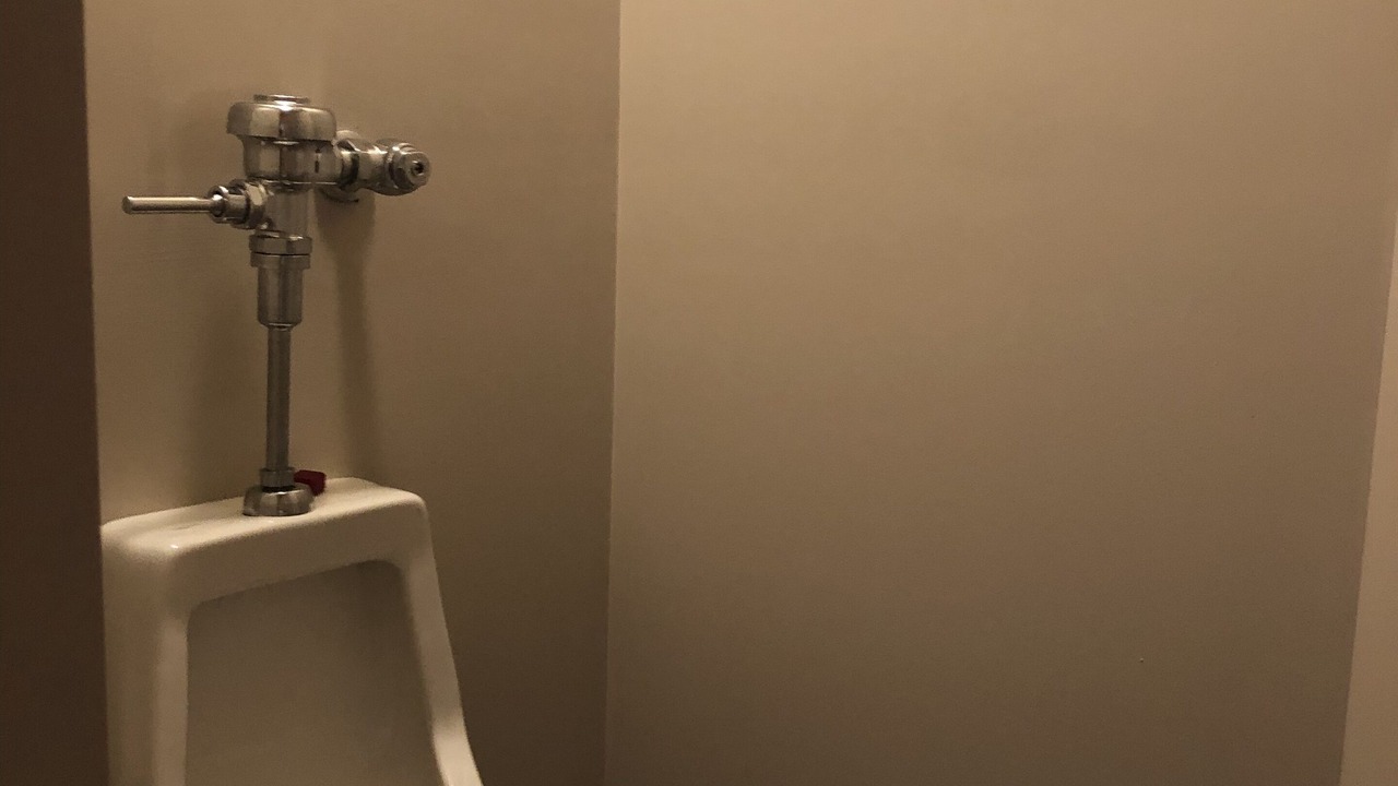 Photo of Bathroom in Oglesby