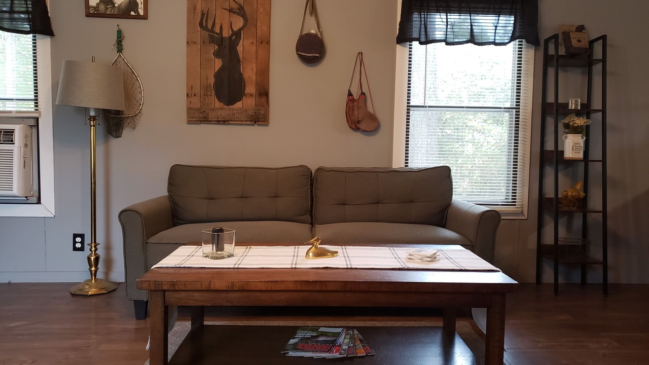 Photo of Livingroom in Carrier Mills