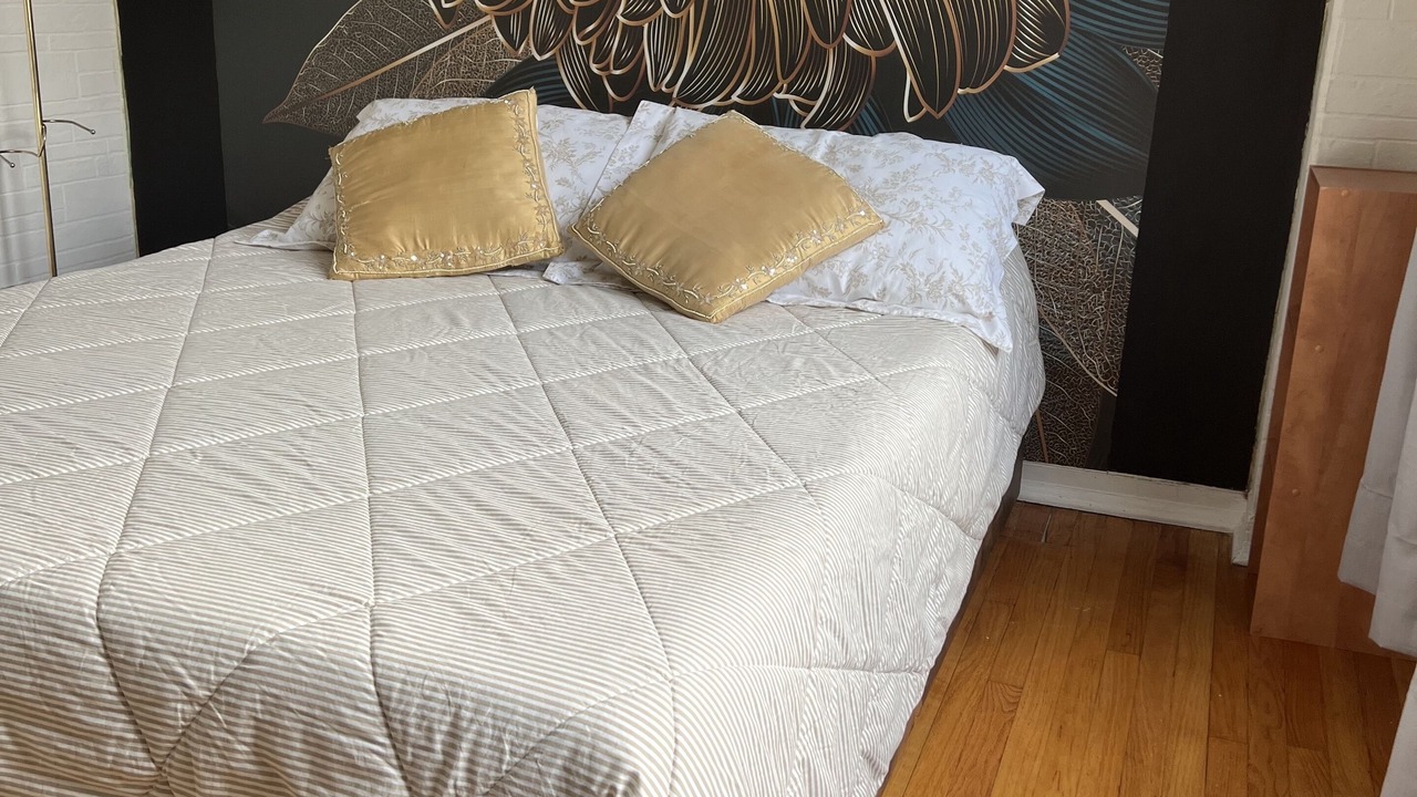Photo of Bedroom in Stickney