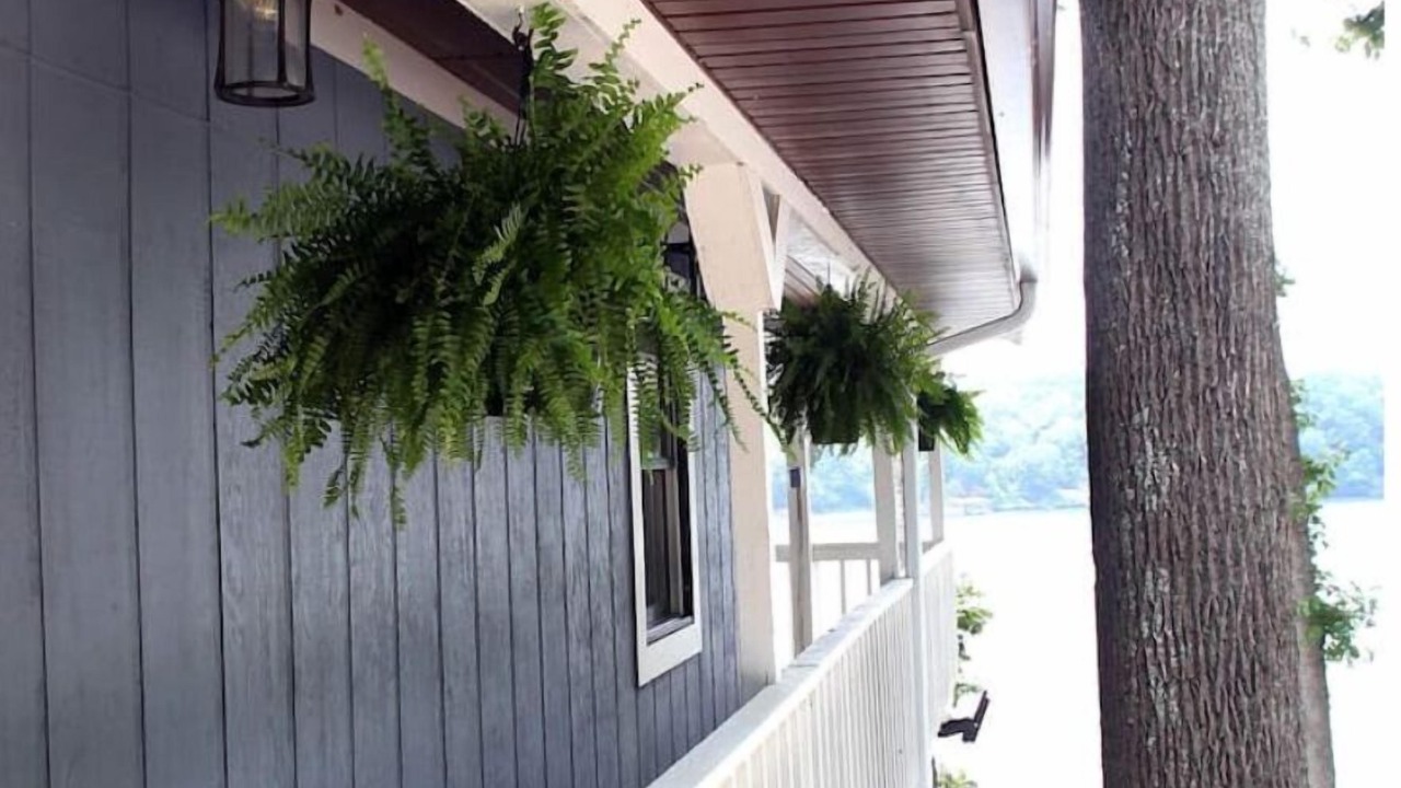 Photo of Outdoor in Perks
