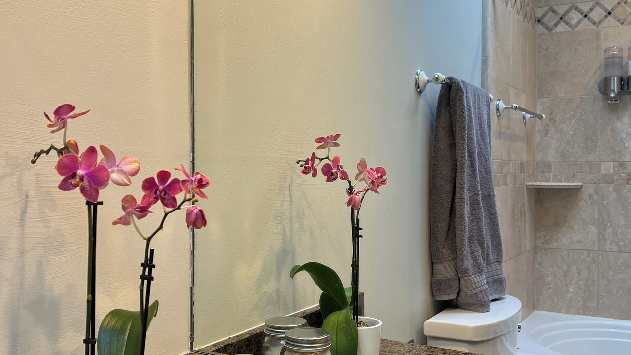 Photo of Bathroom in West Town