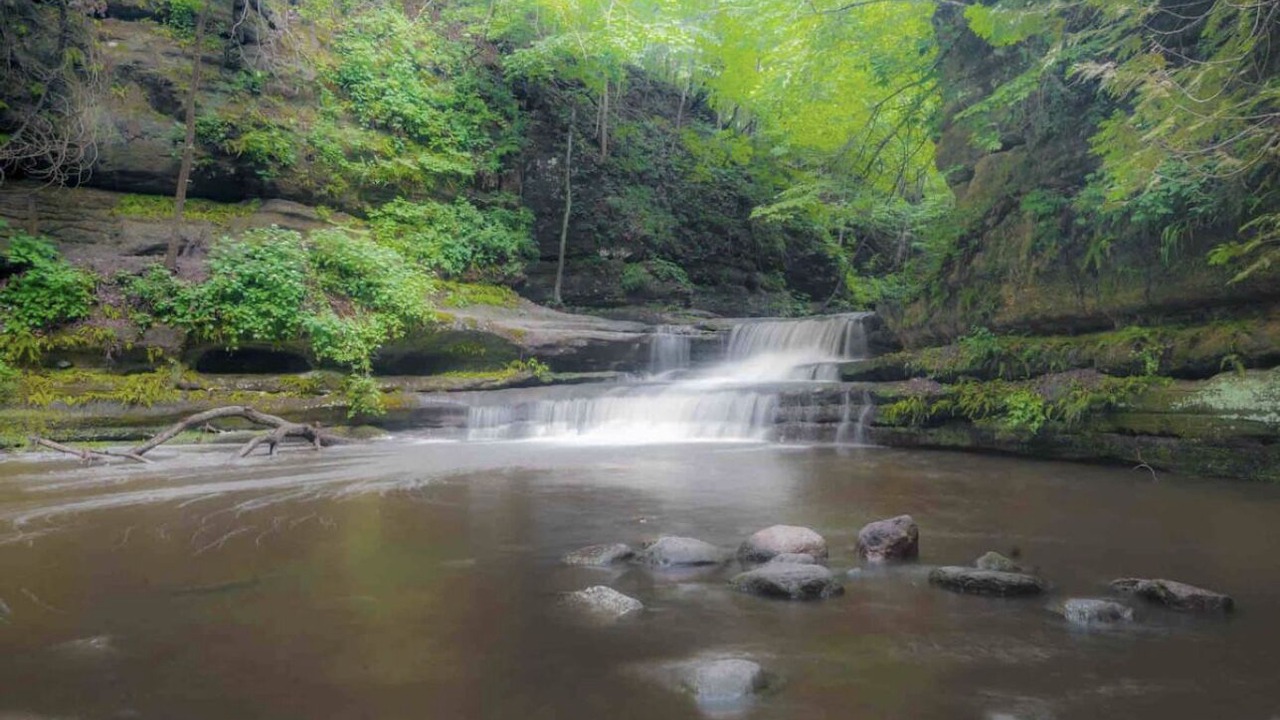 Photo of Outdoor in Tonica