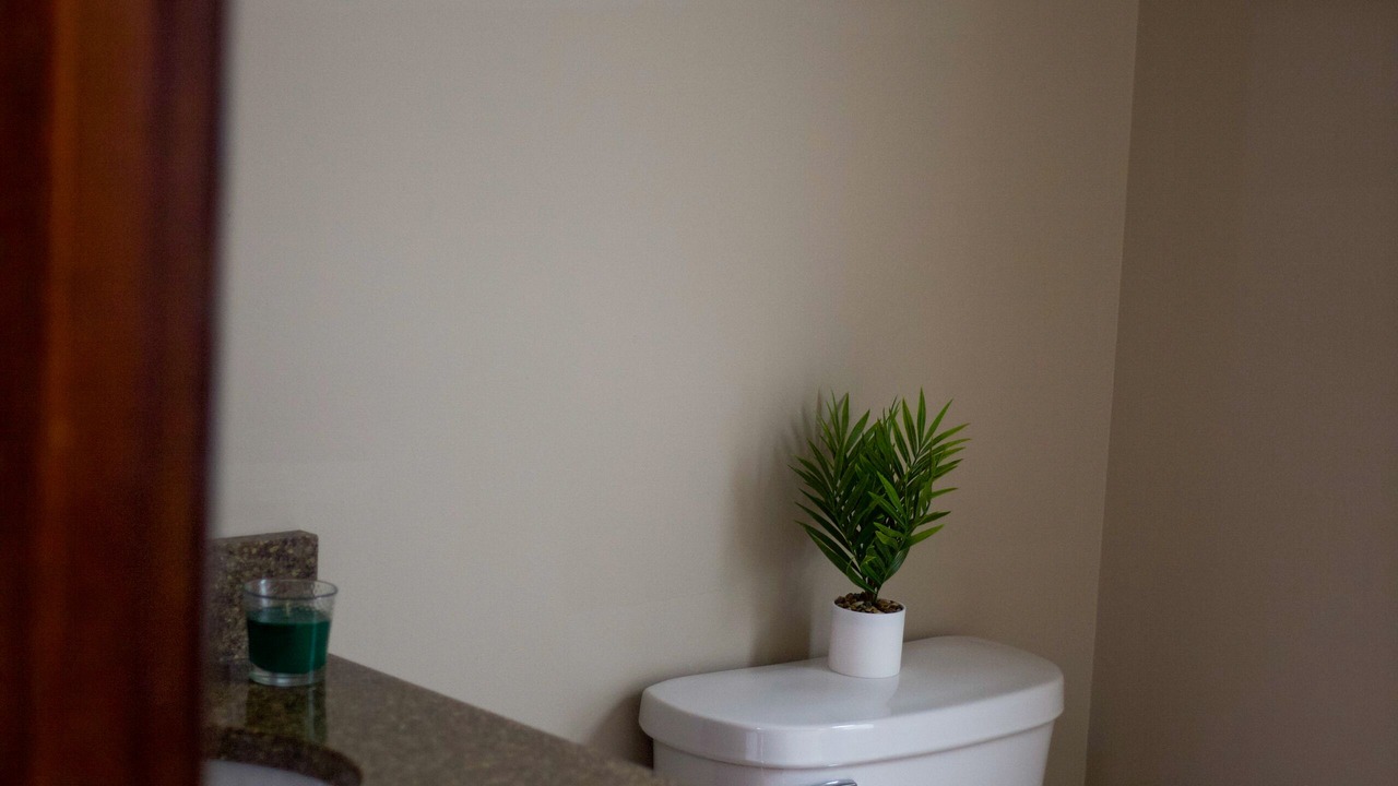 Photo of Bathroom in Champaign