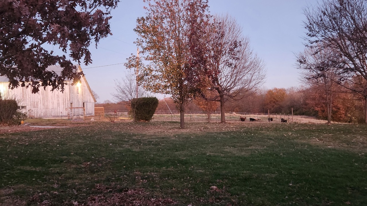 Photo of Outdoor in Jerseyville